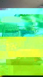 11230972_1622828664627983_3798668617872017052_n.jpg