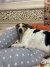 IMG_1661.jpeg