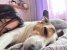 IMG_1652.jpeg