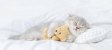 IMG_6213.jpeg